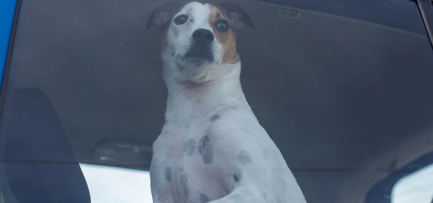 Car Lockout Solutions in Hughson, California